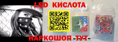 амф Шахты