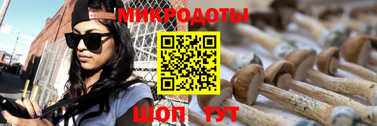 Галлюциногенные грибы Psilocybine cubensis  Вход с VPN  Ликино-Дулёво  купить наркотик  Галлюциногенные грибы MAGIC MUSHROOMS 